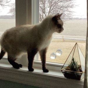 Meet your Posher, Audrey